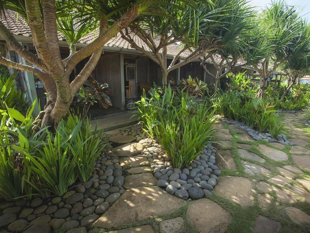 Pondok Pitaya Balian Hotel Selemadeg  Luaran gambar